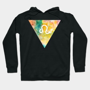 Leo Zodiac Hoodie